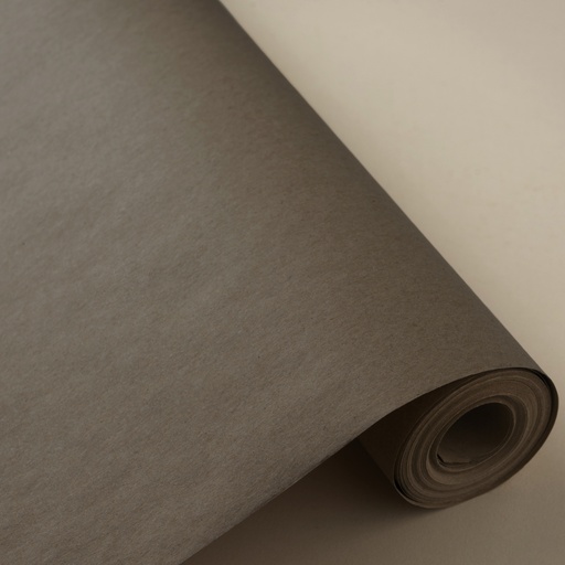 [3150292T] # Bobina 62 cm 4 kg 100% kraft reciclado plateado